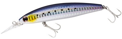 Daiwa Shoreline Shiner Z SetUpper 97SDR L Maiwashi