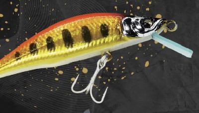 Gills Zeebach 50F/50S with circuit board lips