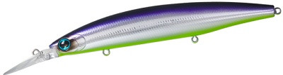 Daiwa Shoreline Shiner Z Setupper 145SDR, Rattlin Katakuchi Chart Belly