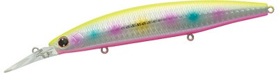 Daiwa Shoreline Shiner Z Setupper 125SDR, Fuyajo