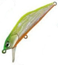 Ivyline T-Gravits 50S Awabi 07 Flash Chart