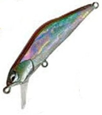 Ivyline T-Gravits 50S Awabi 09 Natural Bait