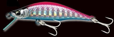 Gills Zeebach 50F/50S 