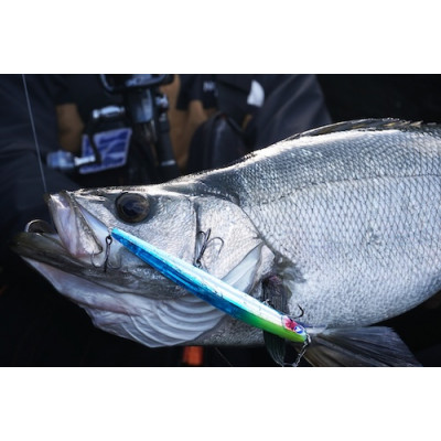 Blueblue Fishing, Bloowin 140J
