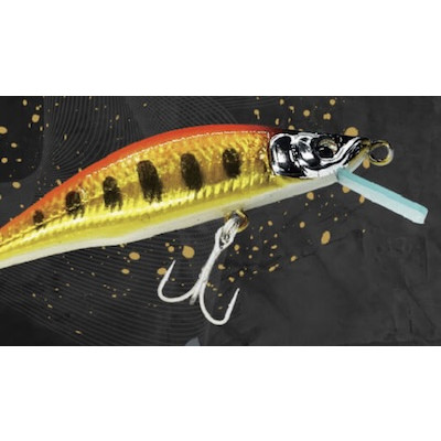 Gills Zeebach 50F/50S with circuit board lips