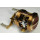 Megabass Monoblock Carrozzeria Evoluzion Limited Topaz, 2010 Limited