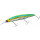 Daiwa Shoreline Shiner Z Setupper 145SDR