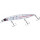 Daiwa Shoreline Shiner Z Vertice R STG 125S